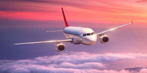 Flight
